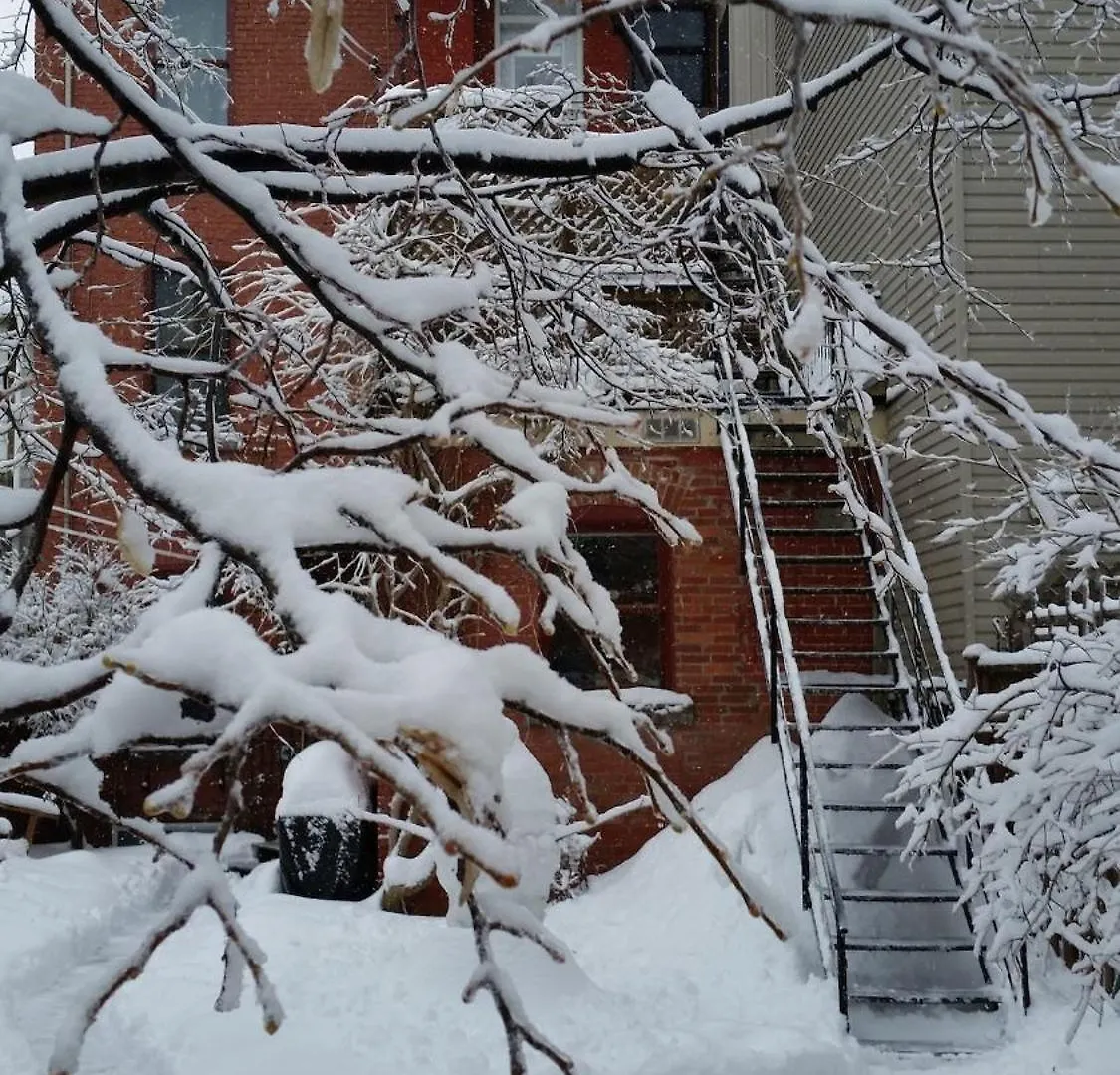 Spacious 2-Level 4 Bedroom Home Near Jean-Talon Market, Pets Welcome! Montreal